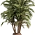 Tropical Palm Tree Outdoor Plant 3D model small image 2