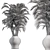 Tropical Palm Tree Outdoor Plant 3D model small image 3