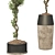 Bonsai Olive Tree Collection 97 3D model small image 6