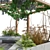 Pergola Backyard with Crape Vine 3D model small image 5