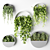 Hanging Planter Circles with Indoor Trailing Plants 3D model small image 5