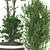 Artificial Bonsai Olive Tree Pot 3D model small image 2