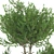 Artificial Bonsai Olive Tree Pot 3D model small image 3