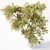 Premium Indoor Plant Model Kit 3D model small image 3