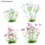 3D Yarrow Plant Models Set 3D model small image 1