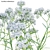 3D Yarrow Plant Models Set 3D model small image 3