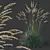 Silver Blue Ornamental Grass 3D Model 3D model small image 3