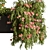 532 Hanging Plants Outdoor 3D model small image 2