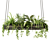 Hanging Plant Mesh - Indoor & Hanging Plants 3D model small image 1