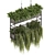 High-Quality Hanging Ampelous Plant 3D model small image 3