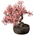 Flower Bonsai 523 - Indoor Greenery 3D model small image 1