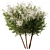 Spring Tree SetV2: 3D Model 3D model small image 1