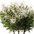 Spring Tree SetV2: 3D Model 3D model small image 2