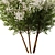 Spring Tree SetV2: 3D Model 3D model small image 3