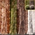 Tree Bark Texture Set 3D model small image 1