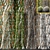 Tree Bark Textures Collection 3D model small image 1