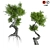 Sculpted Tree Duo, 2016 Design 3D model small image 1