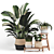 Indoor Foliage Set | Realistic Texture 3D model small image 1