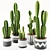 Modern Indoor Cactus Plant Model 3D model small image 2