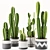 Modern Indoor Cactus Plant Model 3D model small image 3