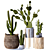 Modern Cactus Indoor Set 17 3D model small image 1