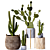 Modern Cactus Indoor Set 17 3D model small image 2