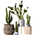 Modern Cactus Indoor Set 17 3D model small image 4