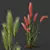 Foxtail Barley HQ Ornamental Plant 3D model small image 2