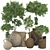 Wooden Pot Decorative Tree Collection 3D model small image 1