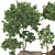 Wooden Pot Decorative Tree Collection 3D model small image 2