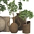 Wooden Pot Decorative Tree Collection 3D model small image 4