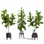 Elegant Fiddle Leaf Fig 3D model small image 1