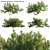  3D Hairpin Banksia Plant Model 3D model small image 1