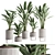 Modern Plant Collection Set 05 3D model small image 1