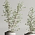 Modern Indoor Plant Set 109 3D model small image 6