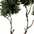 High-Quality Tree Model Set 3D model small image 2