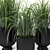 Modern Black Planter Set 3D model small image 4