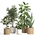 Rattan & Ceramic Indoor Plant Set 3D model small image 1