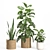 Rattan & Ceramic Indoor Plant Set 3D model small image 2