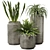 Modern Ceramic Green Plant Trio 3D model small image 1