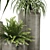 Modern Ceramic Green Plant Trio 3D model small image 4