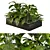 Tropical Jungle Indoor Plant Set 3D model small image 1