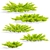 Lime Glow Juniperus Horizontalis Bushes 3D model small image 2