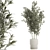 Elegant Bamboo Bush in White Floral Pot. Collection 1272 3D model small image 1