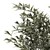 Elegant Bamboo Bush in White Floral Pot. Collection 1272 3D model small image 6