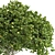 Citrus Garden Lemon Tree 126 3D model small image 4