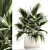 Tropical Palm Plant in Concrete Vase 3D model small image 1