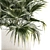 Tropical Palm Plant in Concrete Vase 3D model small image 2