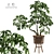 Modern Indoor Plant 3D Model 3D model small image 1