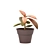 Plant Inspired Ceramic Pots Collection 3D model small image 6